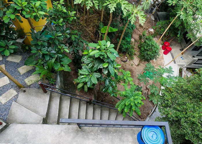 Deishaview Jungle Hostel เกาะเต่า